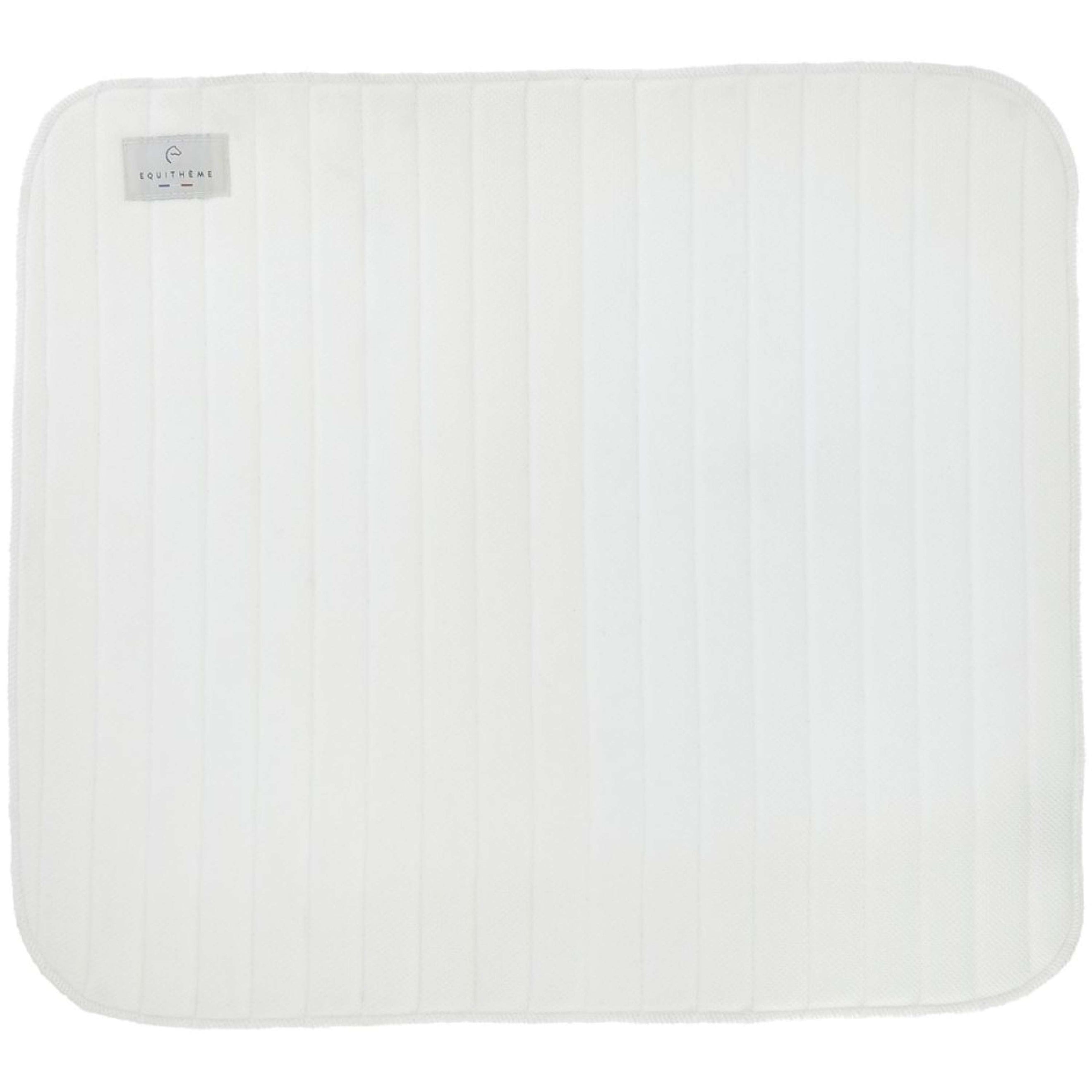 EQUITHÈME Onderlappen Cooldry Wit