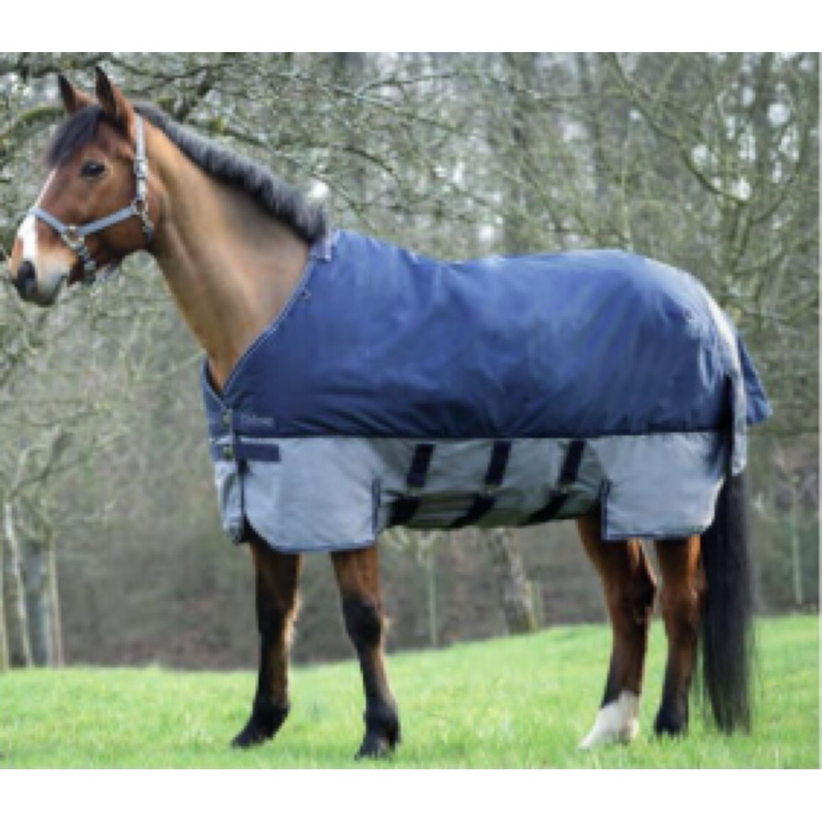 EQUITHÈME Turnout Rug Tyrex met Buikflap 600D 300g Navy/Grijs Dots