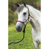 Norton Touwhalsterset Fun Colour Ethologisch Zwart/Fuchsia