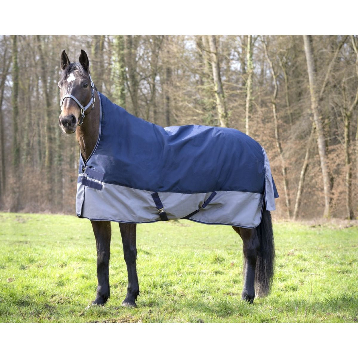 EQUITHÈME Turnout Rug Tyrex High Neck 600D 300g Navy/Grijs Dots