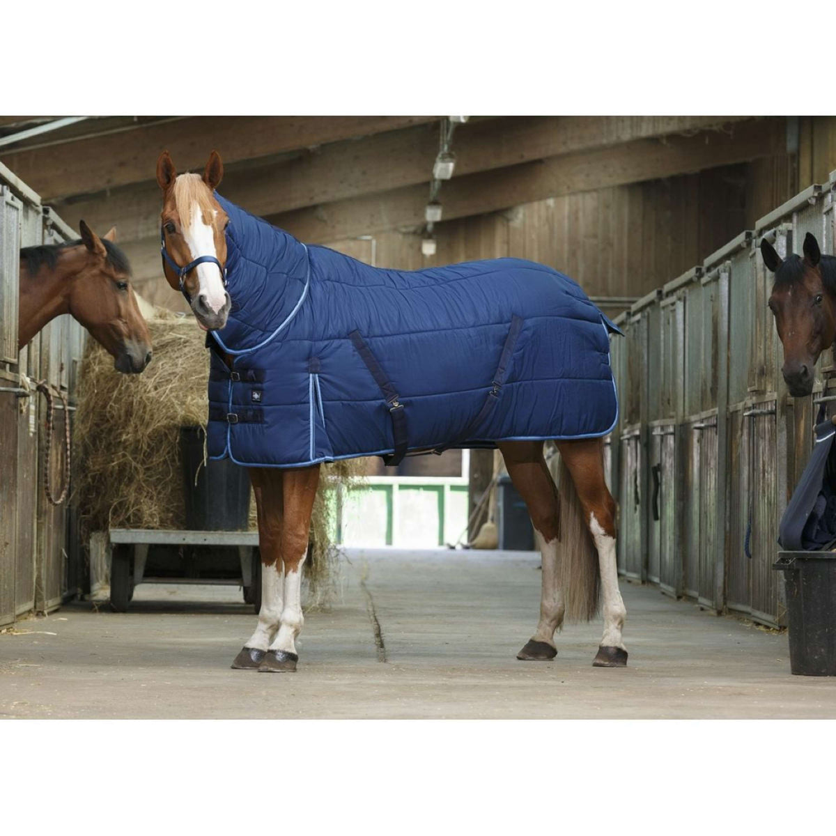 Riding World Staldeken Combo Blauw