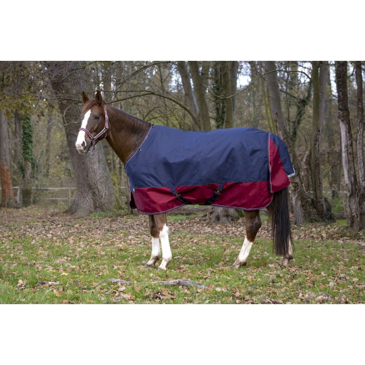 EQUITHÈME Outdoordeken Tyrex 1200D 450g Navy/Bordeaux