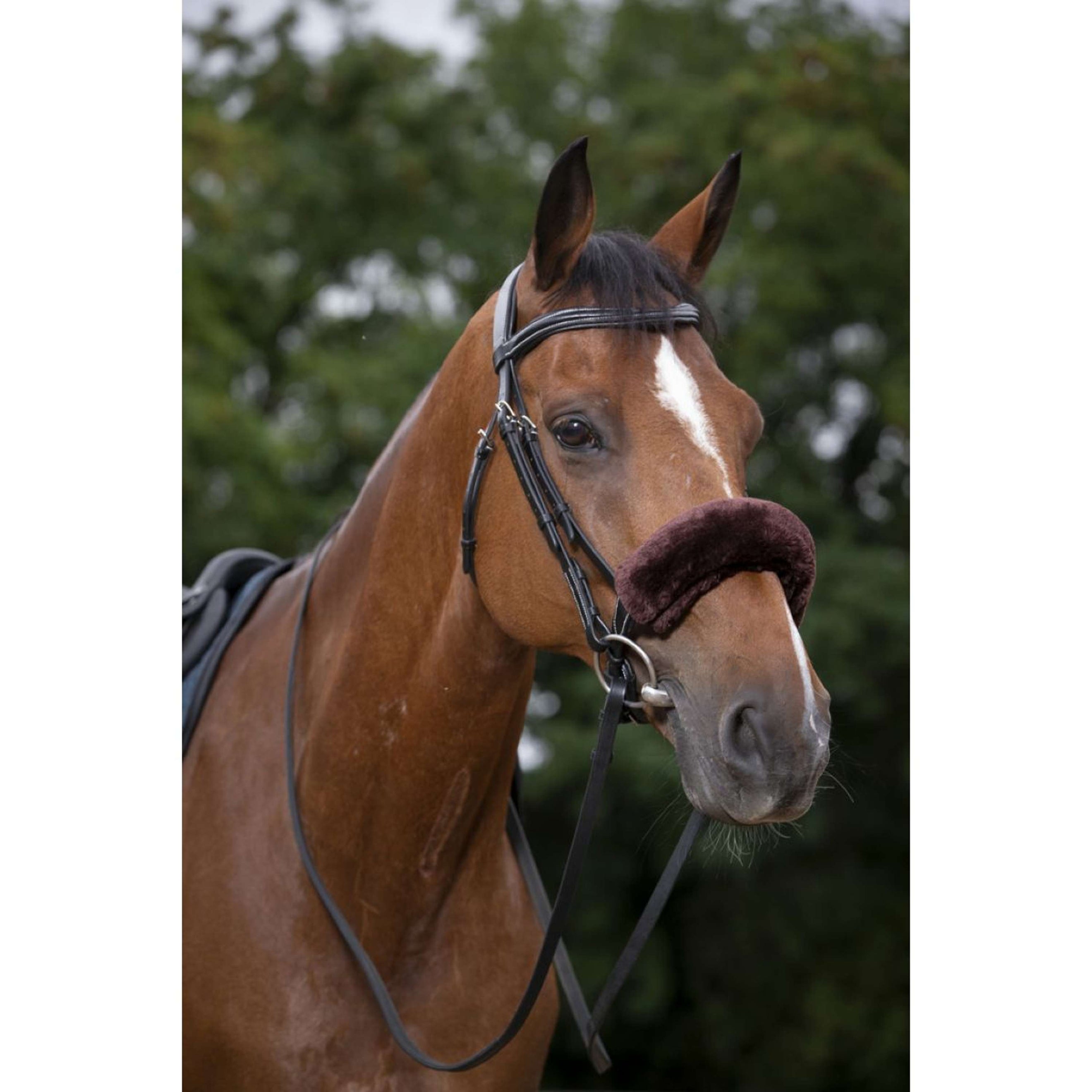 EQUITHÈME Neusbontje Teddy Bruin EQUITHÈME Neusbontje Teddy Bruin