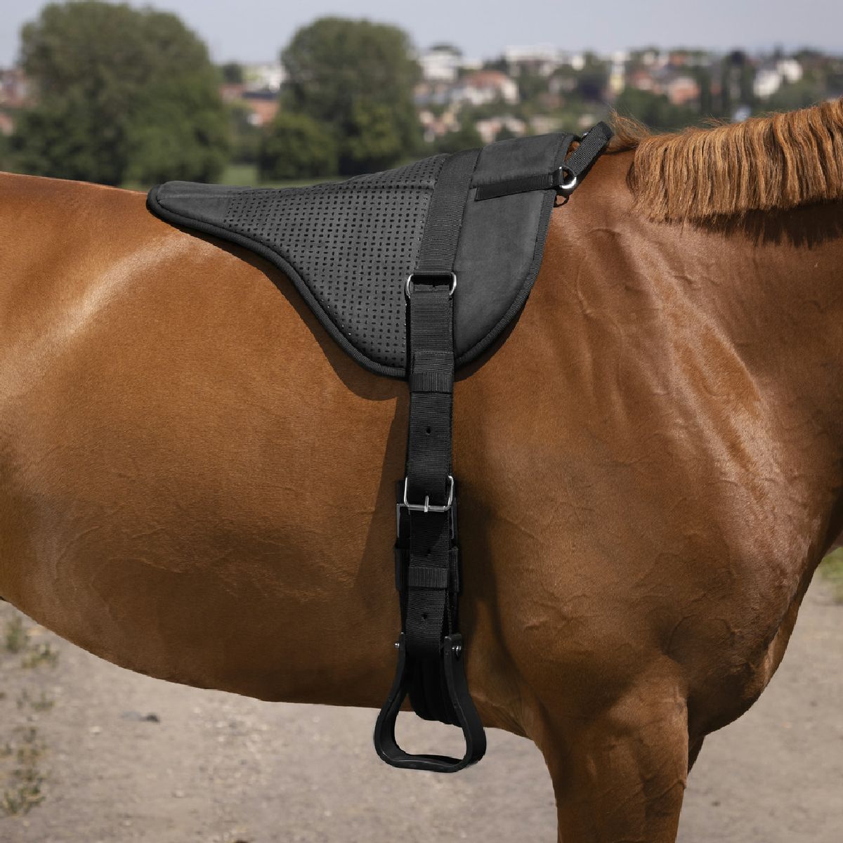 Norton Bareback Pad Silicone Zwart