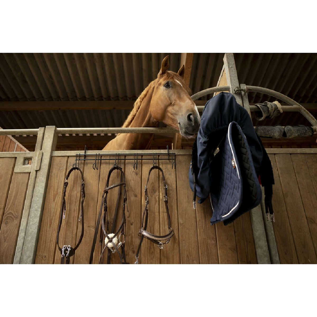 Hippotonic Hoofdstelhanger met 6 Haken Zwart