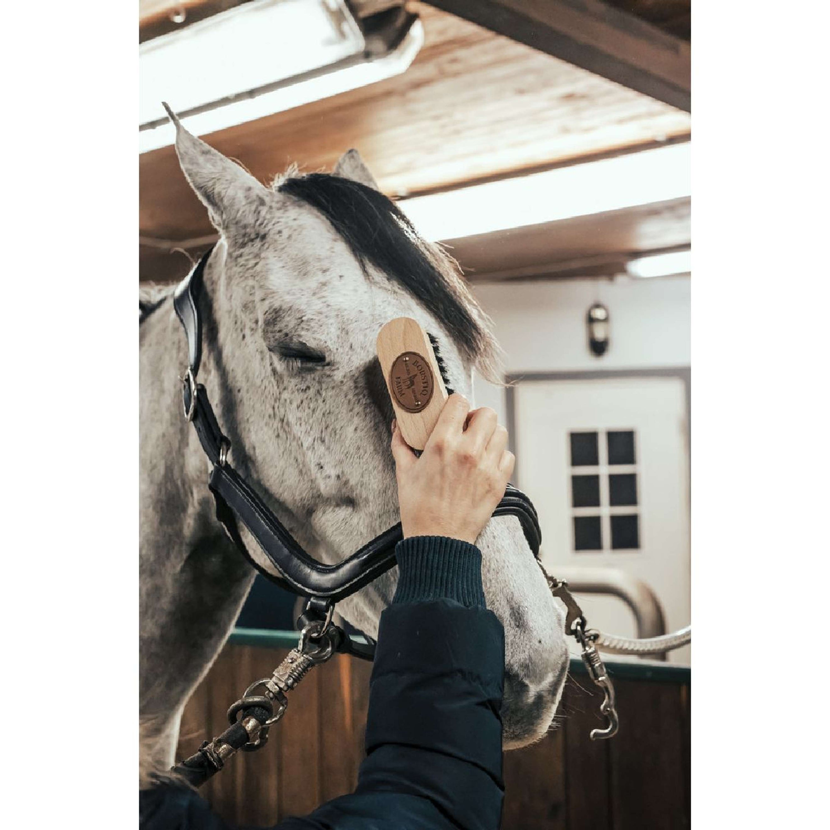 Borstiq Hoofdborstel Borstiq Hoofdborstel