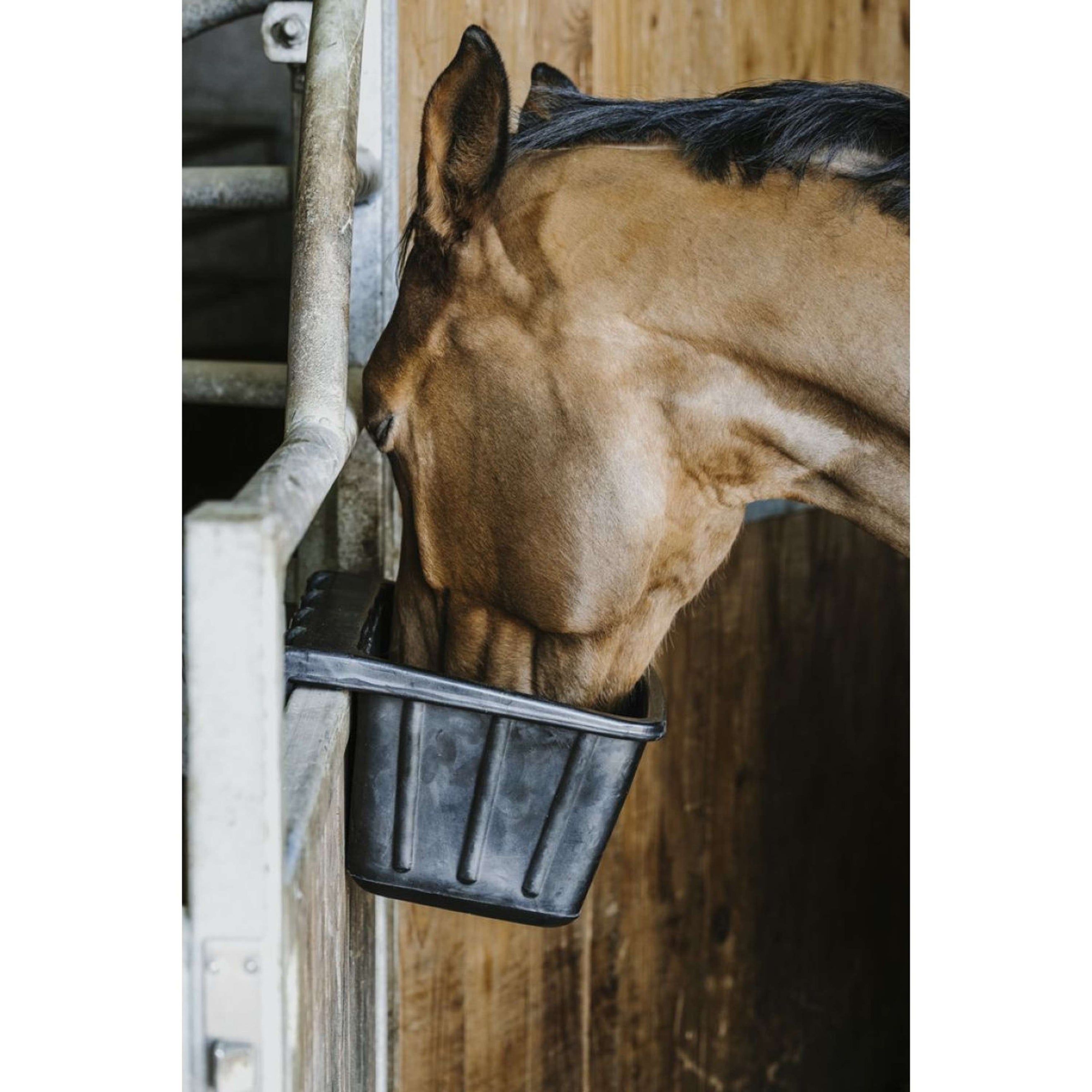 Hippotonic Voerbak Rubber Hippotonic Voerbak Rubber