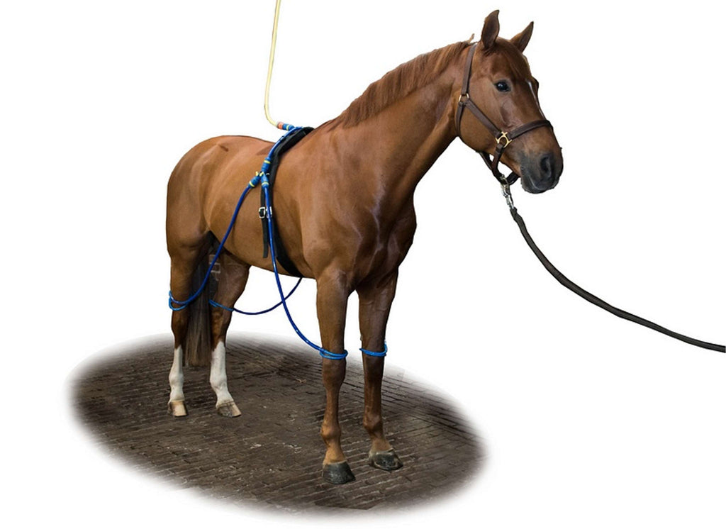 Equine Legcooler Compleet Type 1 voor 4 Benen