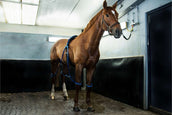 Equine Legcooler Compleet Type 1 voor 4 Benen