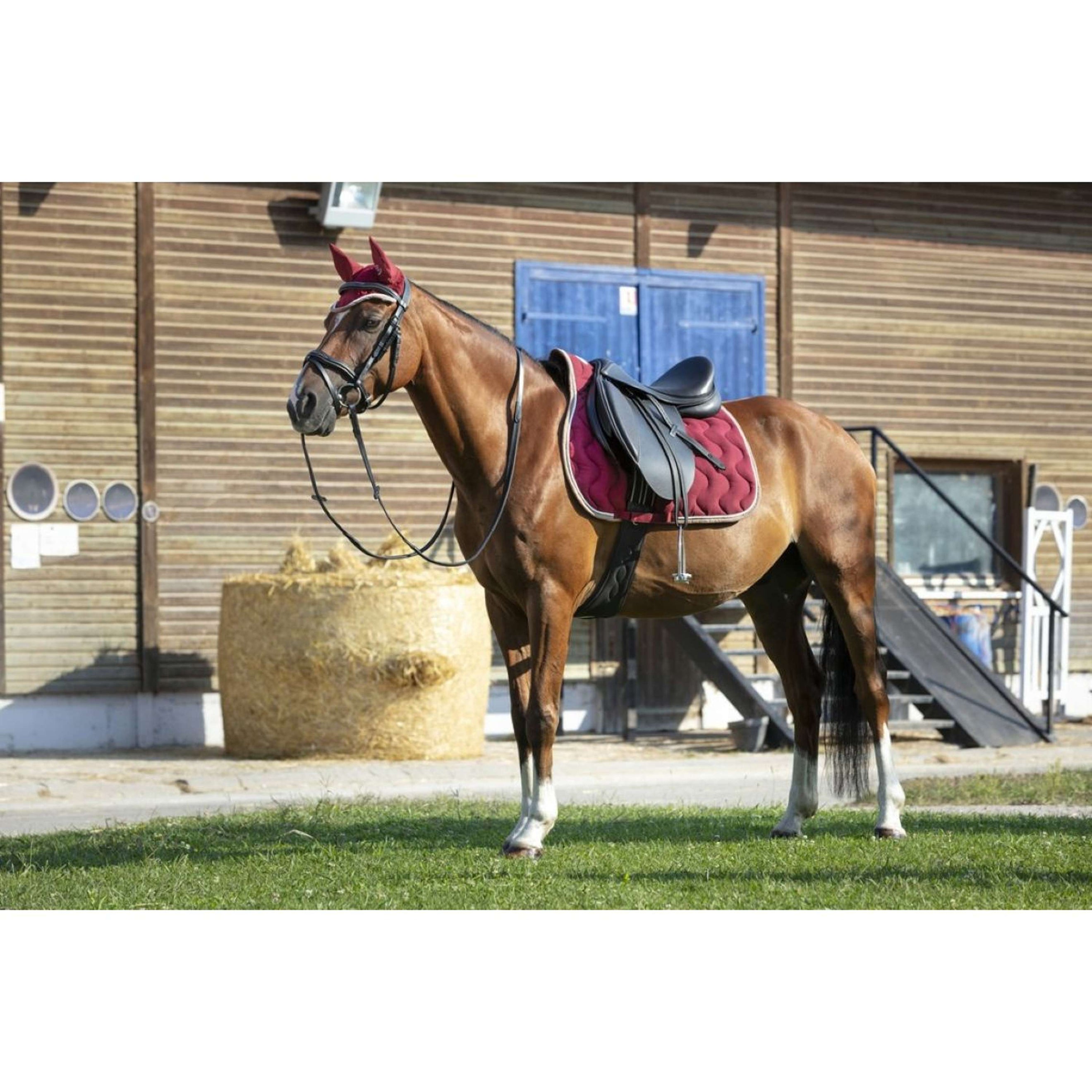 EQUITHÈME Oornetje Polyfun Bordeaux/Taupe EQUITHÈME Oornetje Polyfun Bordeaux/Taupe