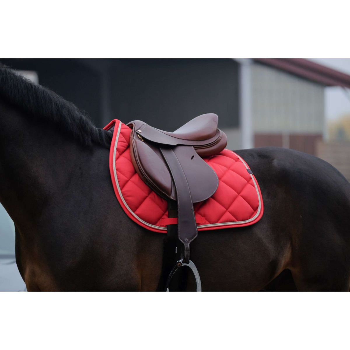 EQUITHÈME Zadeldekje Classic Springen Rood