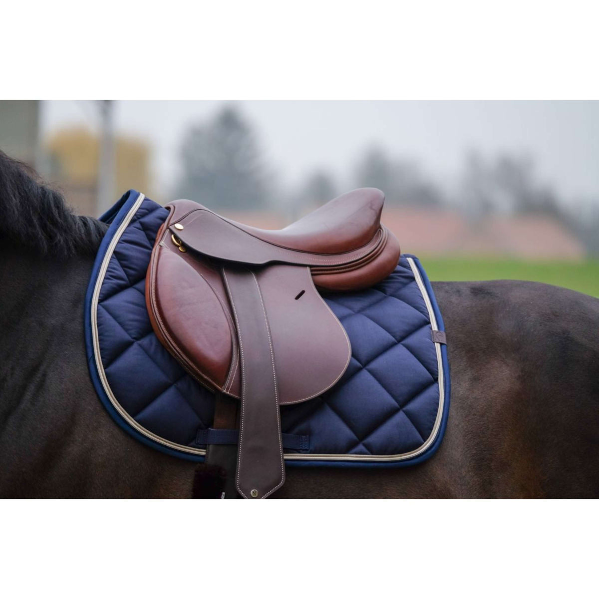 EQUITHÈME Zadeldekje Classic Springen Navy