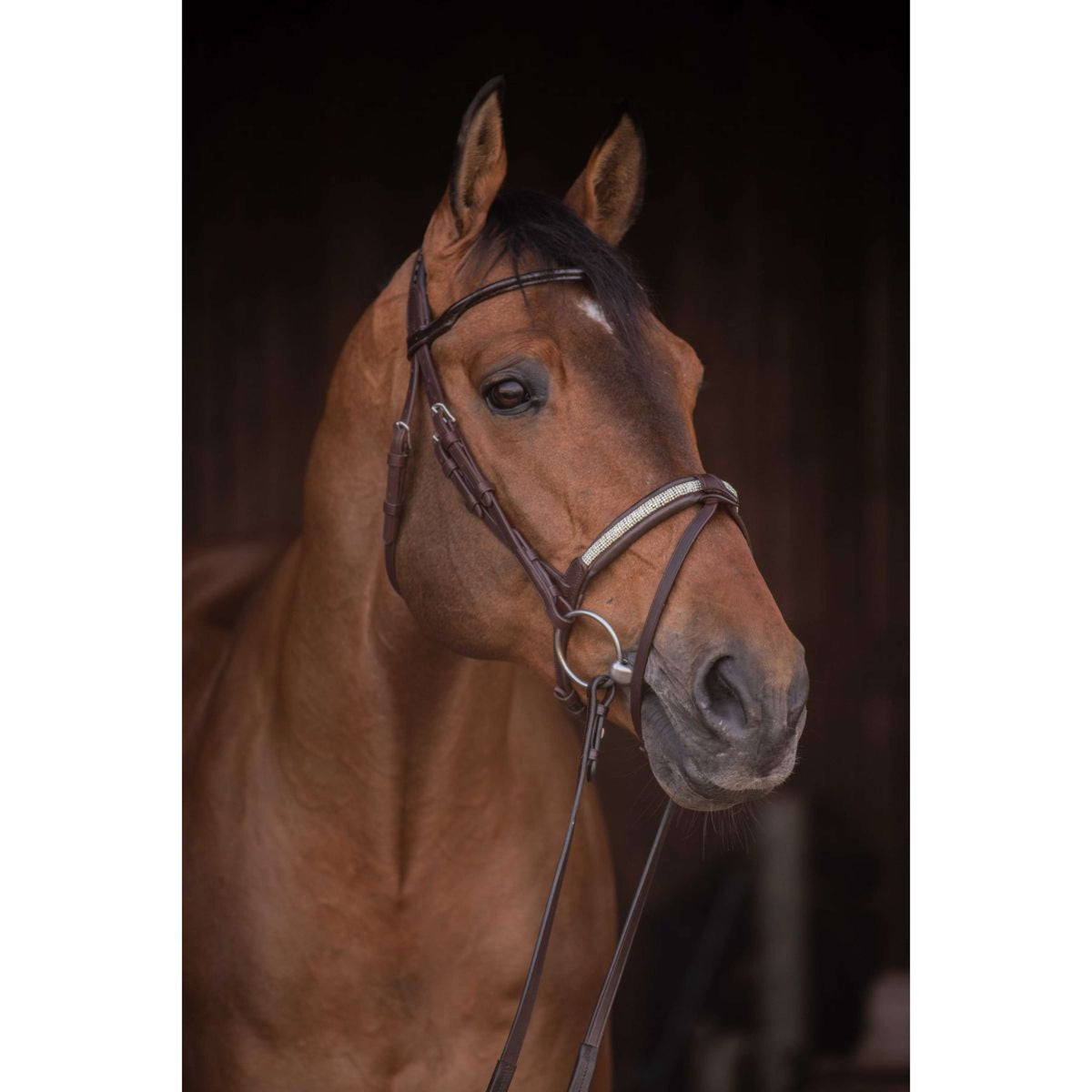 Pénélope Hoofdstel Symphonie Havanna