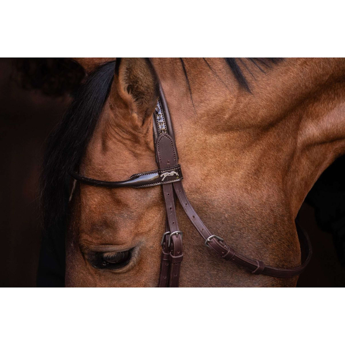 Pénélope Hoofdstel Symphonie Havanna