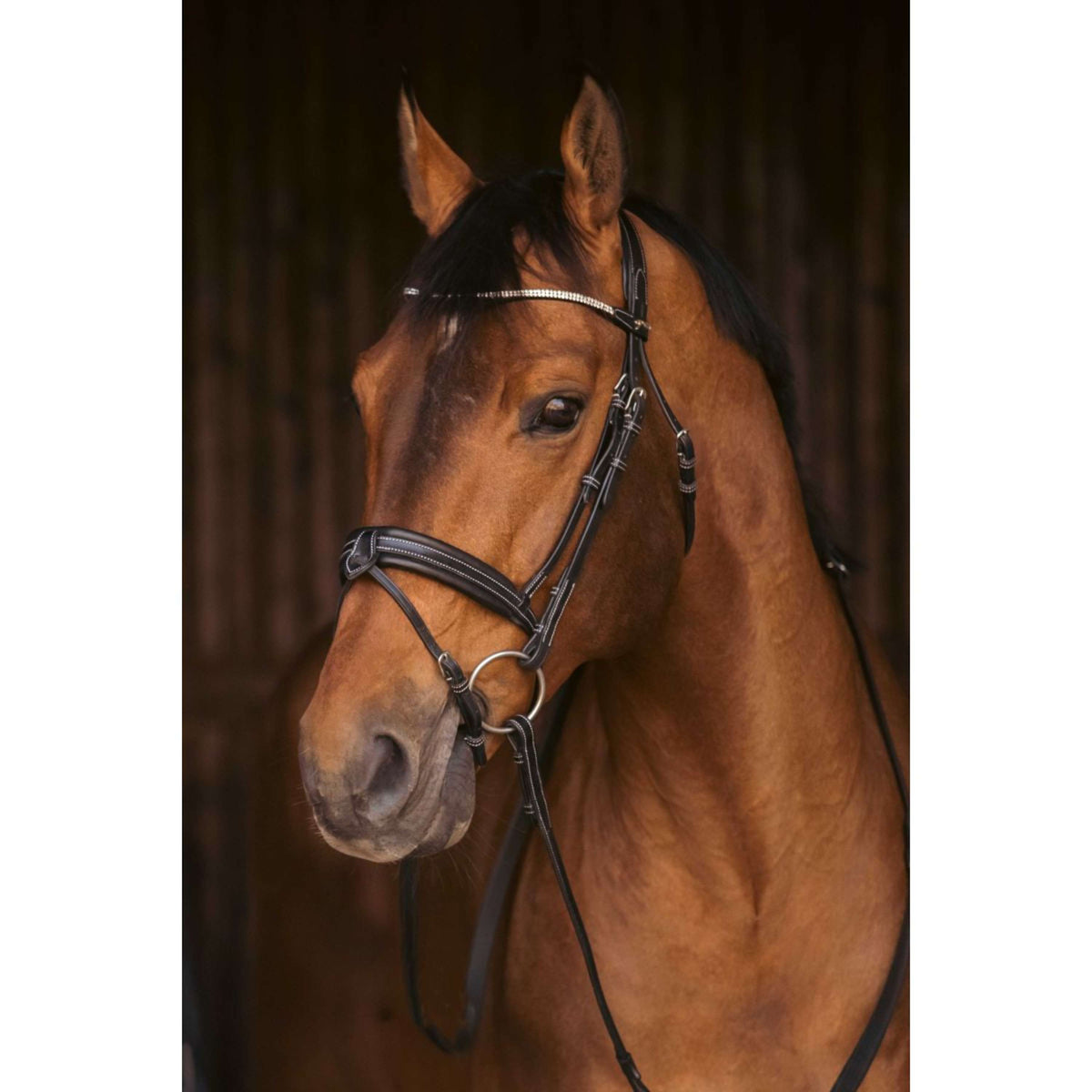 Pénélope Hoofdstel Daily Strass Zwart