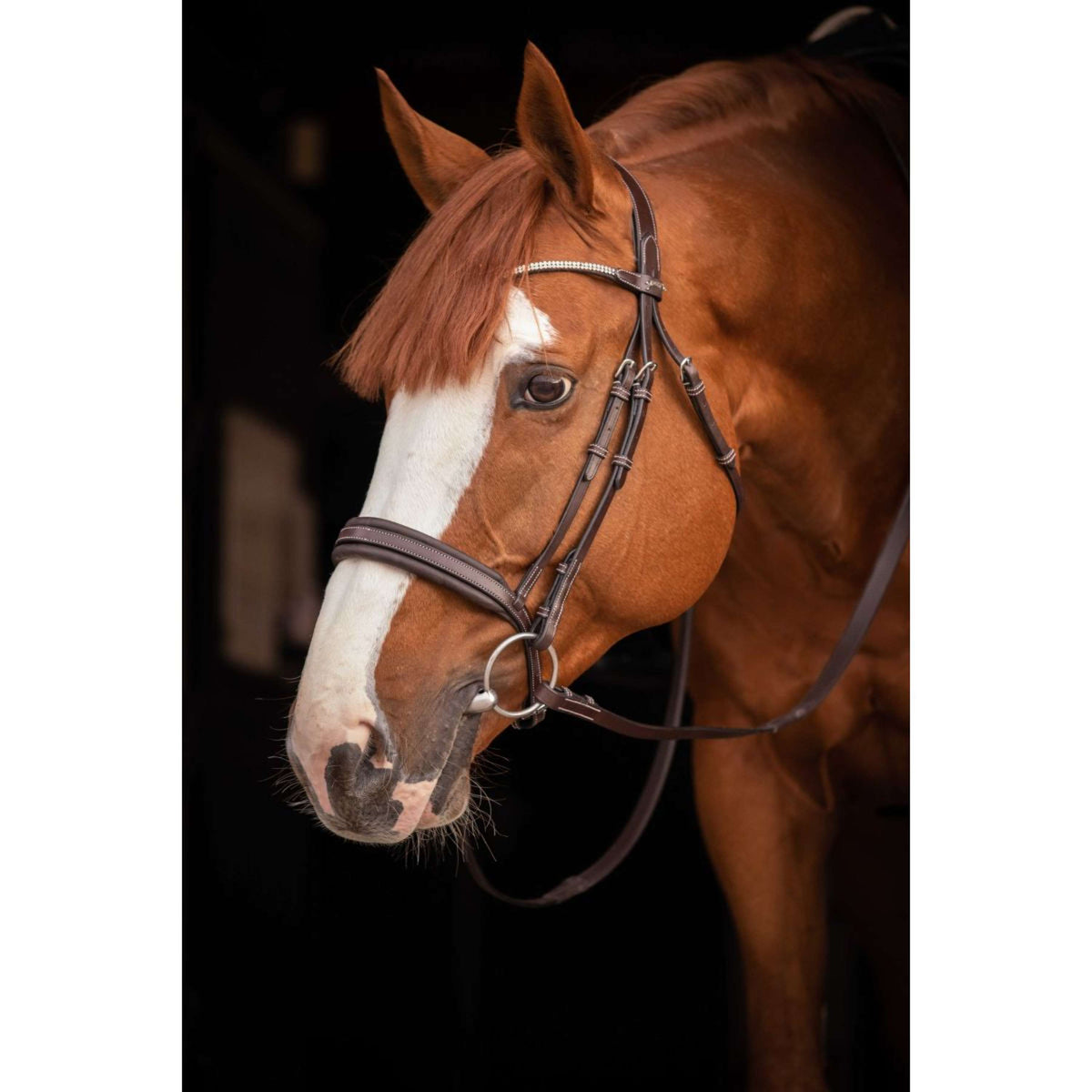 Pénélope Hoofdstel Daily Strass Havanna