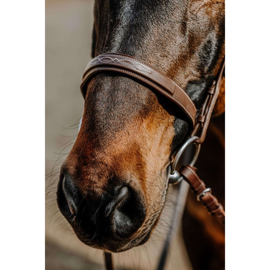 Norton Hoofdstel Hunter Comfy Havanna
