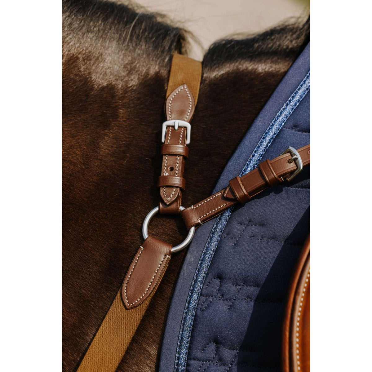 Norton Borsttuig 5 Points Havanna