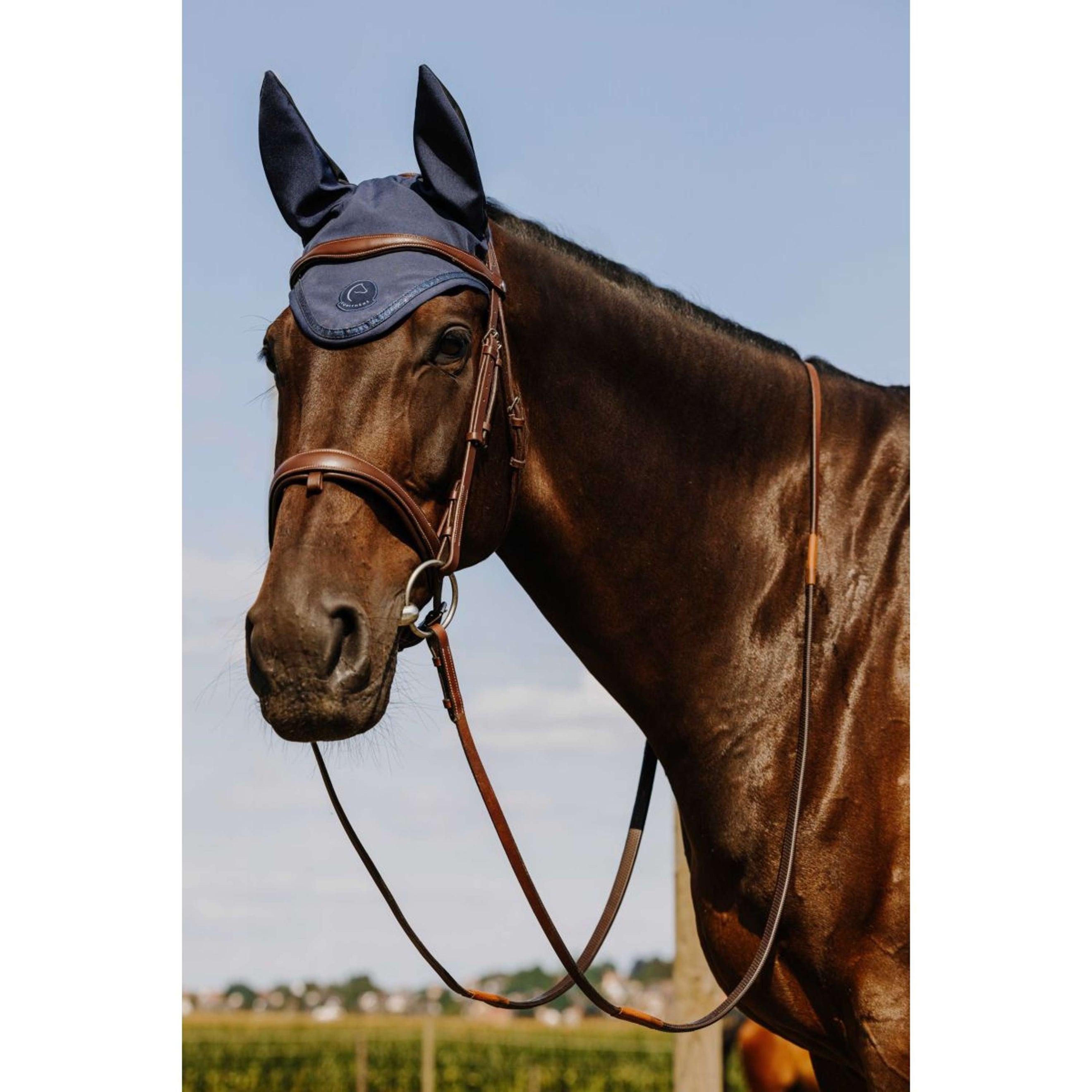EQUITHÈME Oornetje Je Taime Origin Blauw EQUITHÈME Oornetje Je Taime Origin Blauw