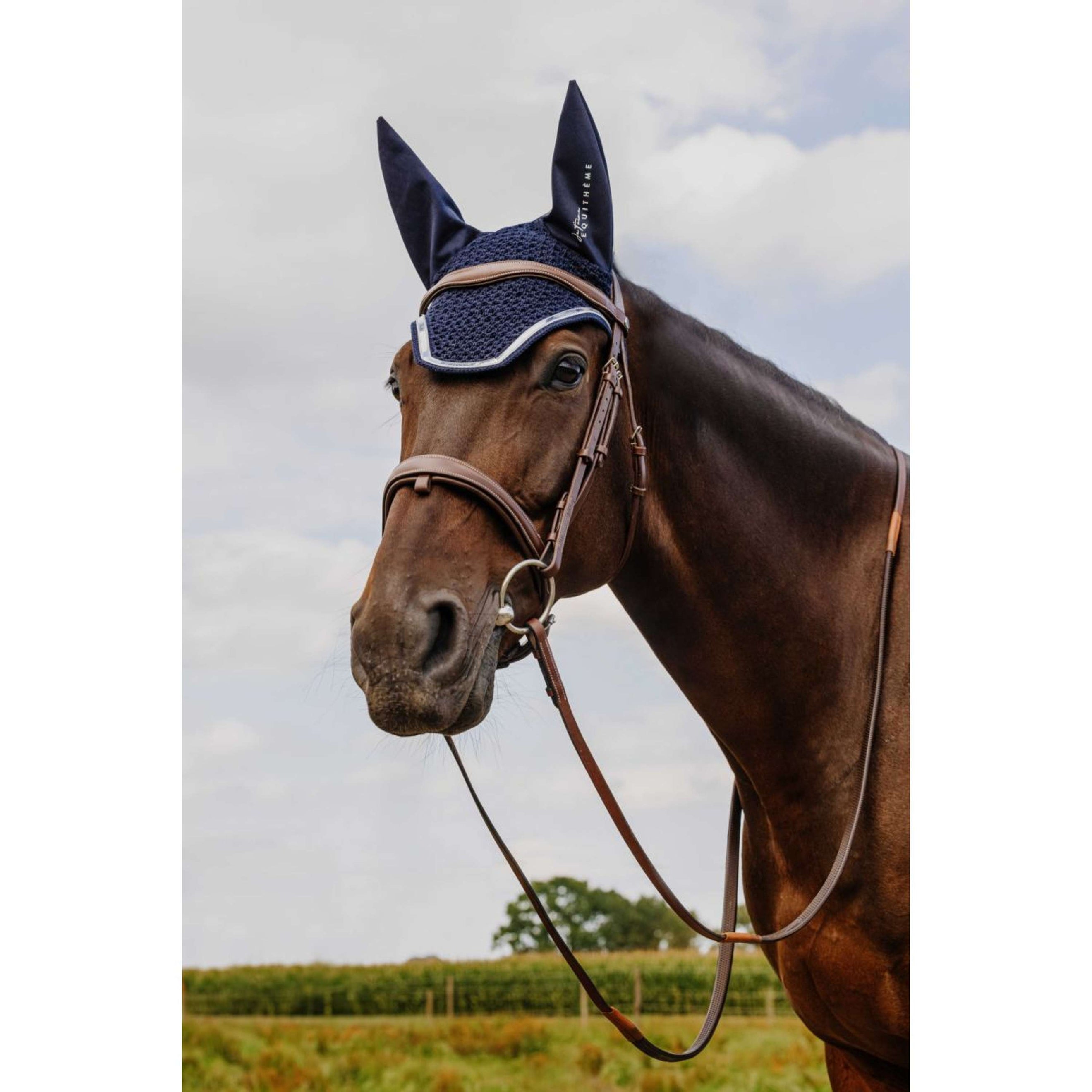 EQUITHÈME Oornetje Je Taime Mirror Blauw