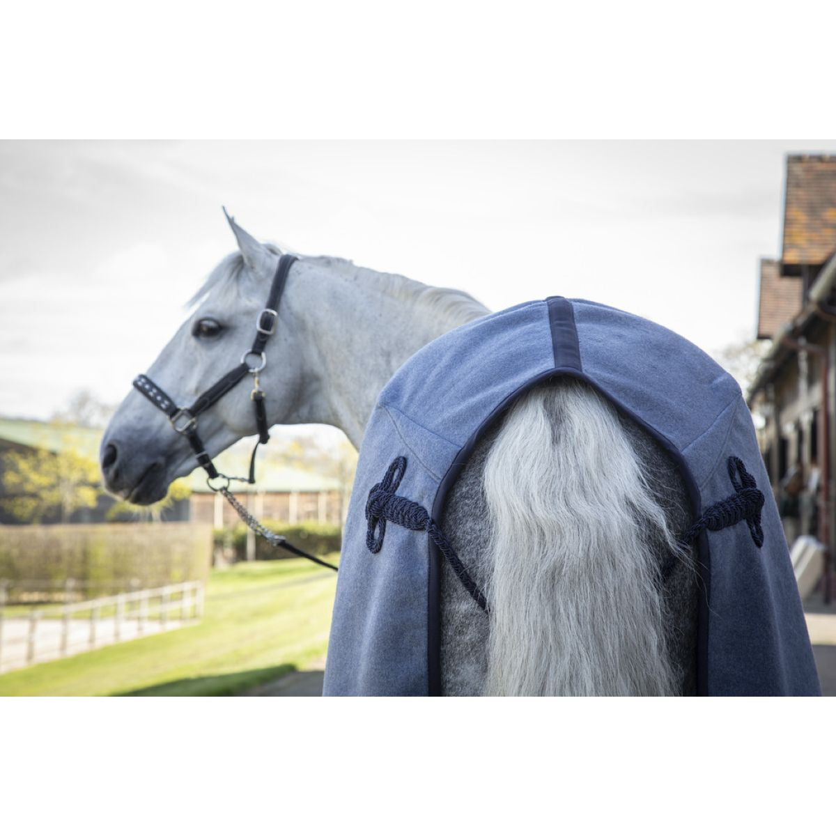 Paddock Deken Wool Blauw