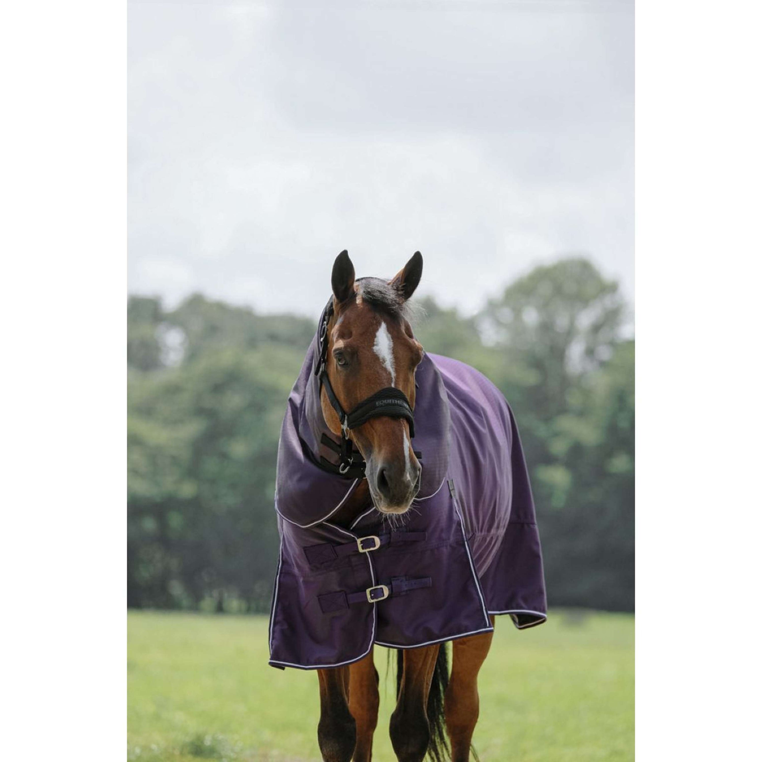 EQUITHÈME Halsstuk Tyrex 600D 0g