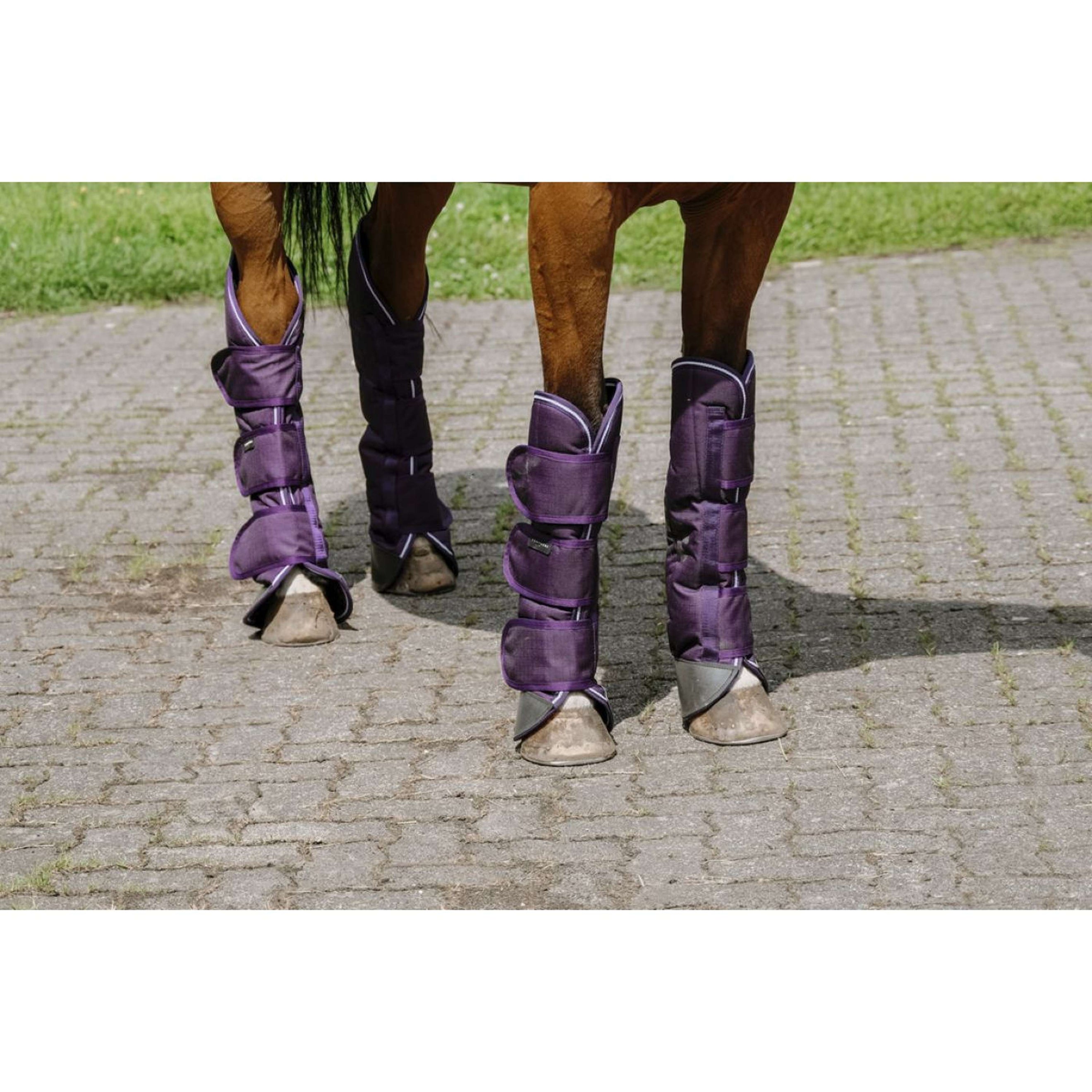 EQUITHÈME Transportbeschermers Tyrex 600D