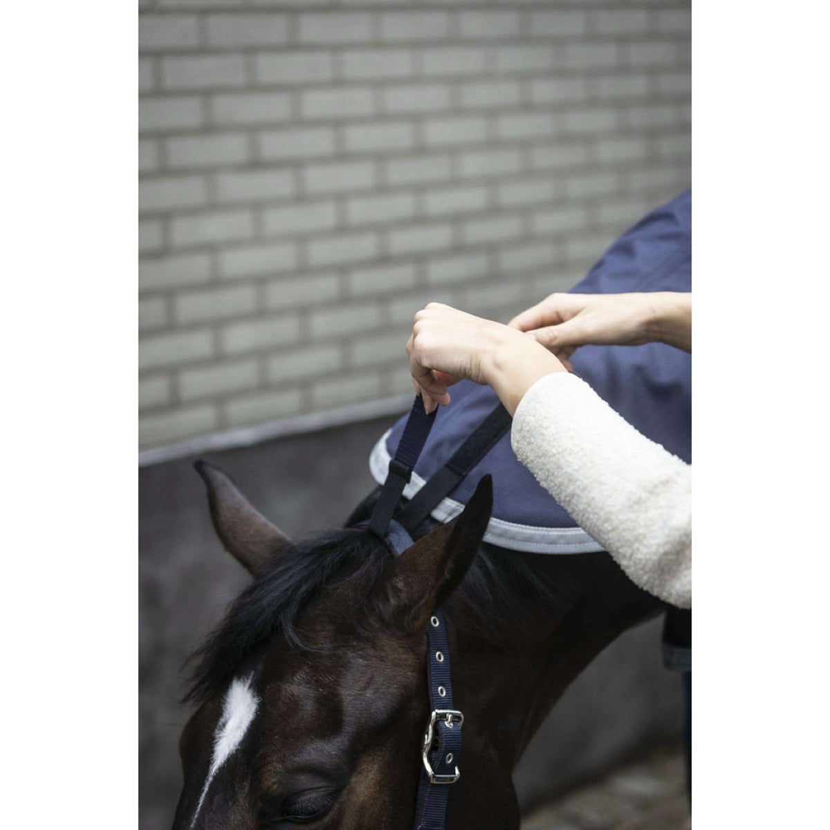 Lami-Cell Halsstuk Armadillo Navy