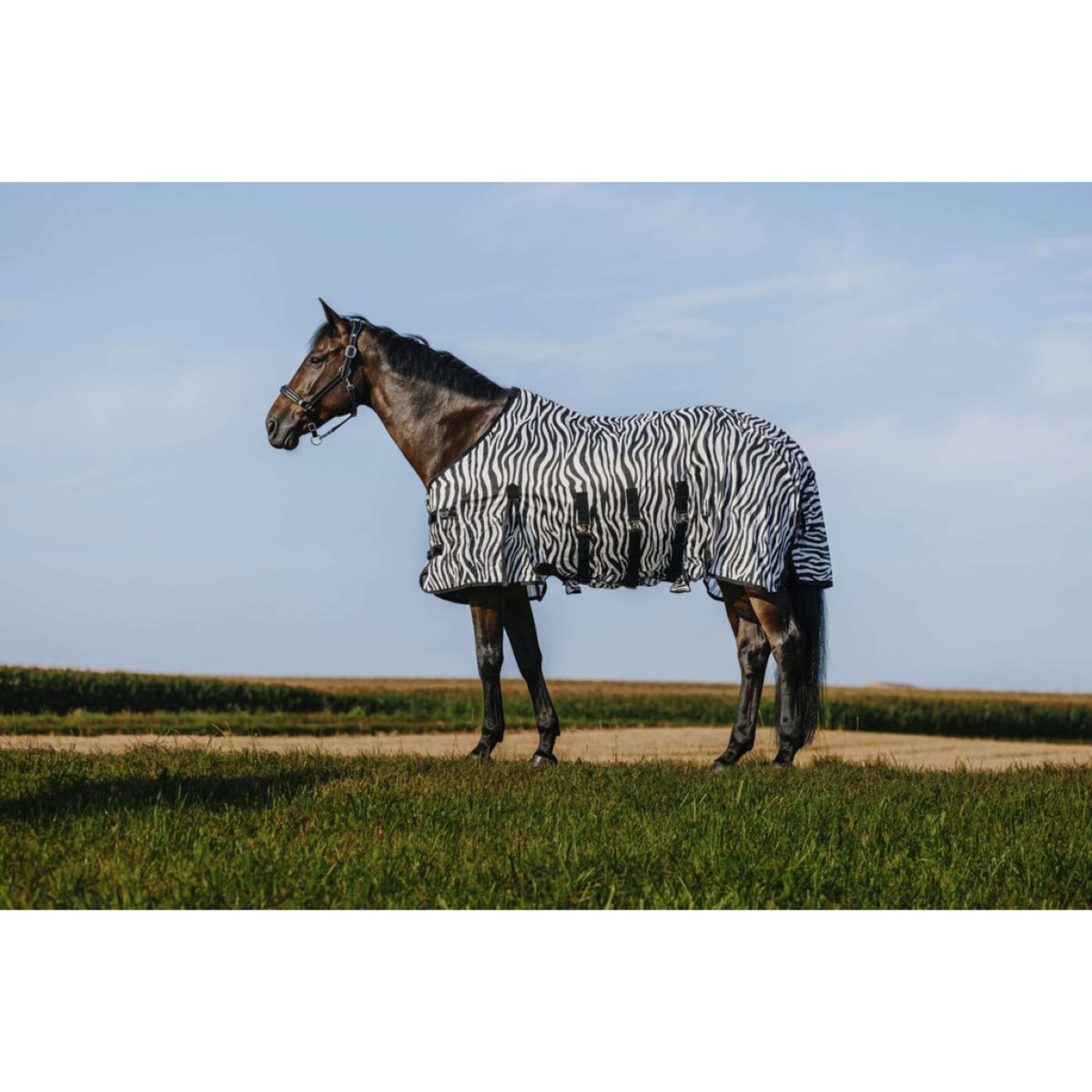 Riding World Vliegendeken Belly Mesh Zebra