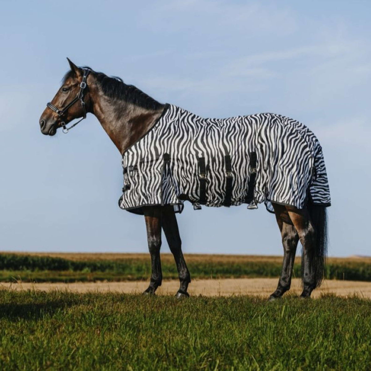 Riding World Vliegendeken Belly Mesh Zebra