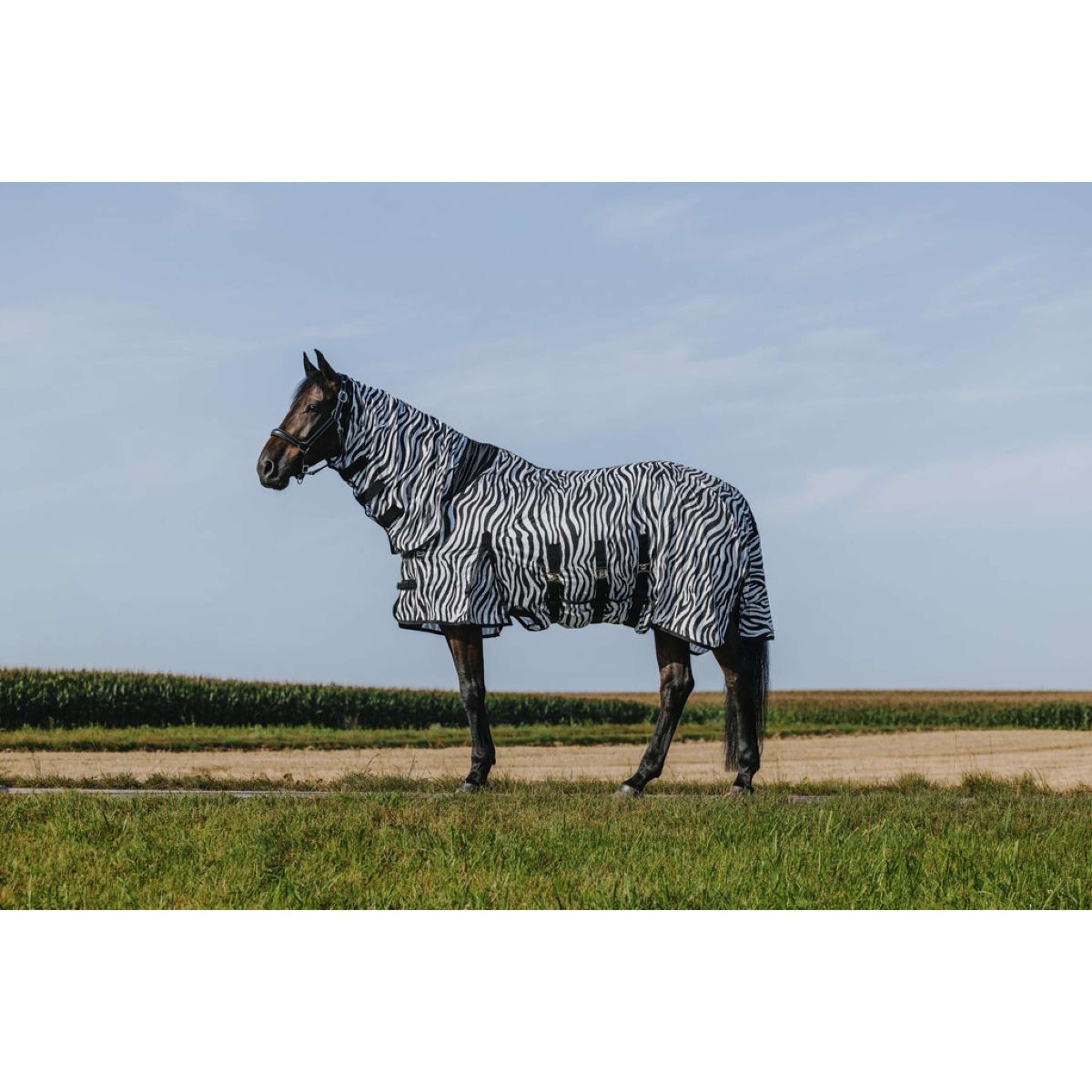 Riding World Vliegendeken Belly Mesh Combo Zebra