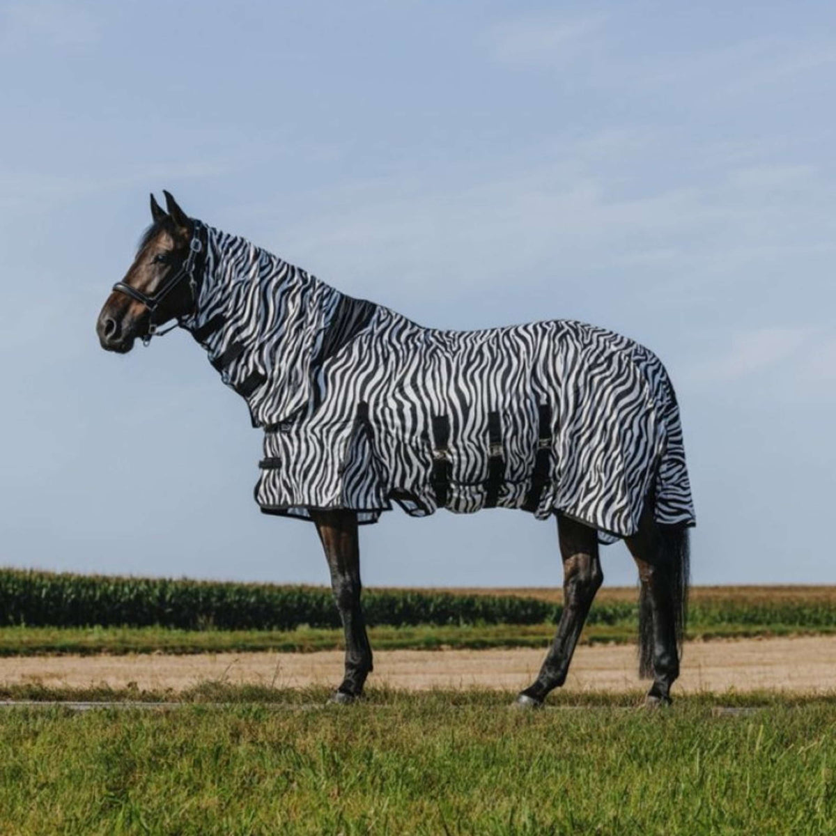 Riding World Vliegendeken Belly Mesh Combo Zebra
