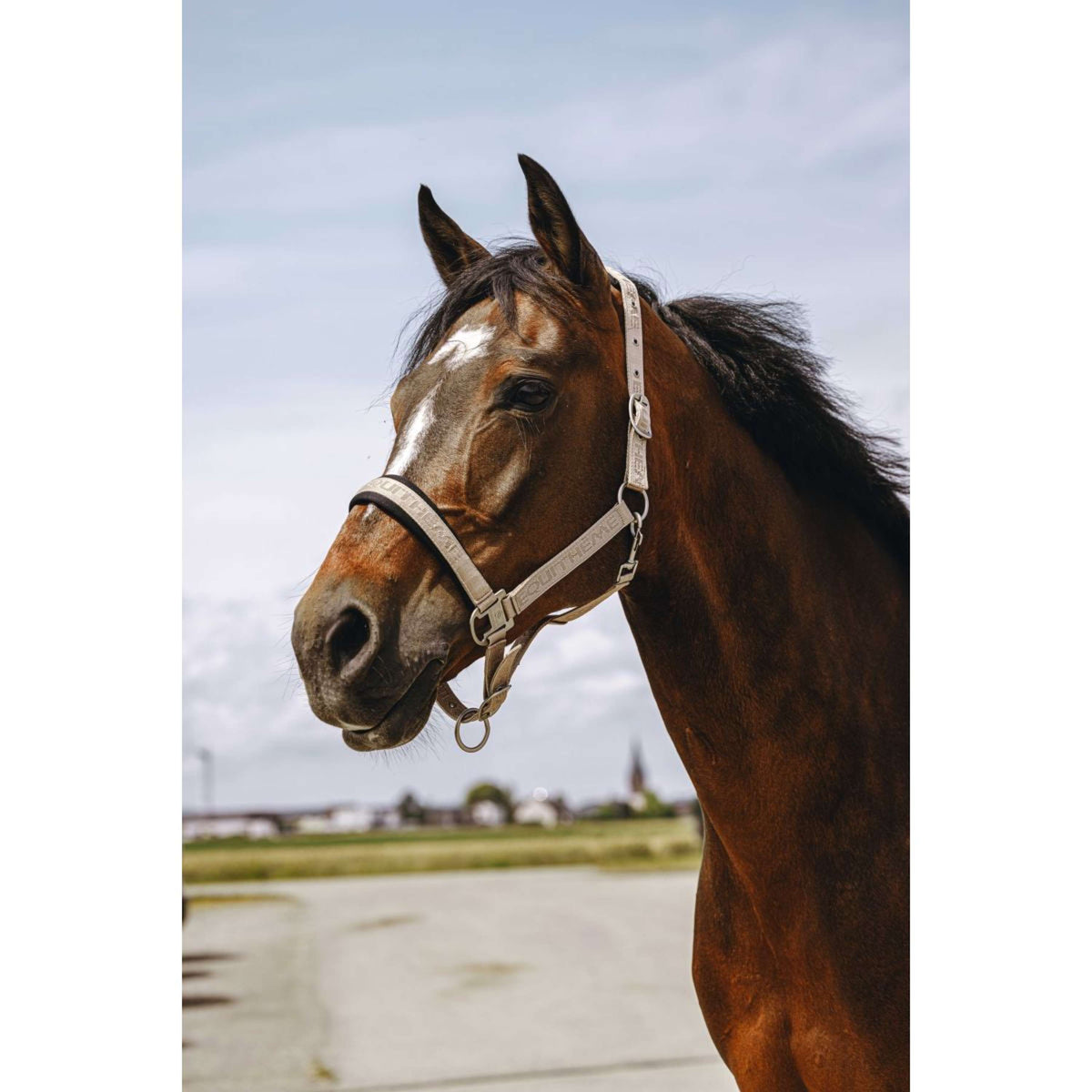 EQUITHÈME Halster Jacquard Taupe