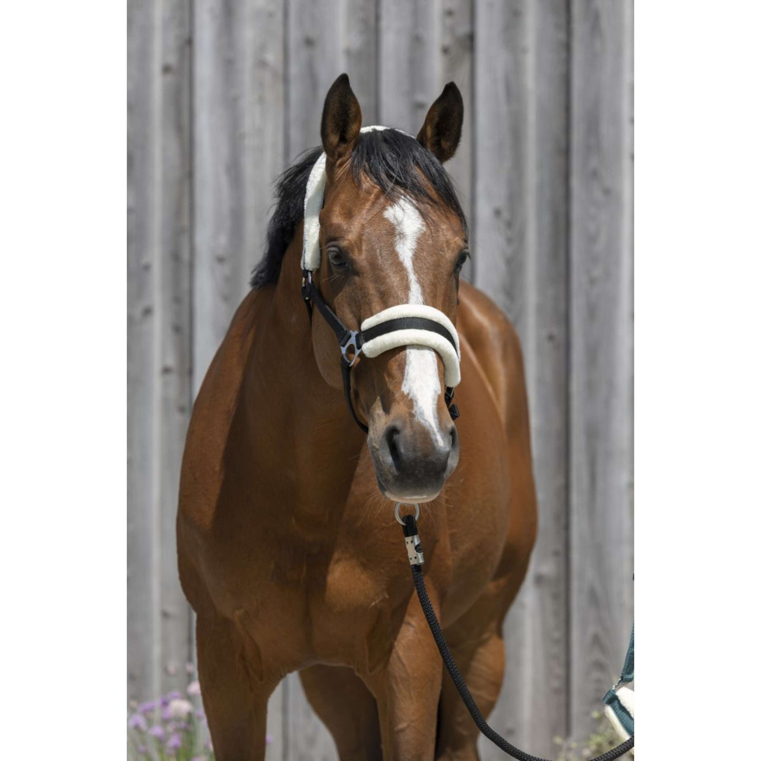 Riding World Halster Synthetic Fur Zwart Riding World Halster Synthetic Fur Zwart