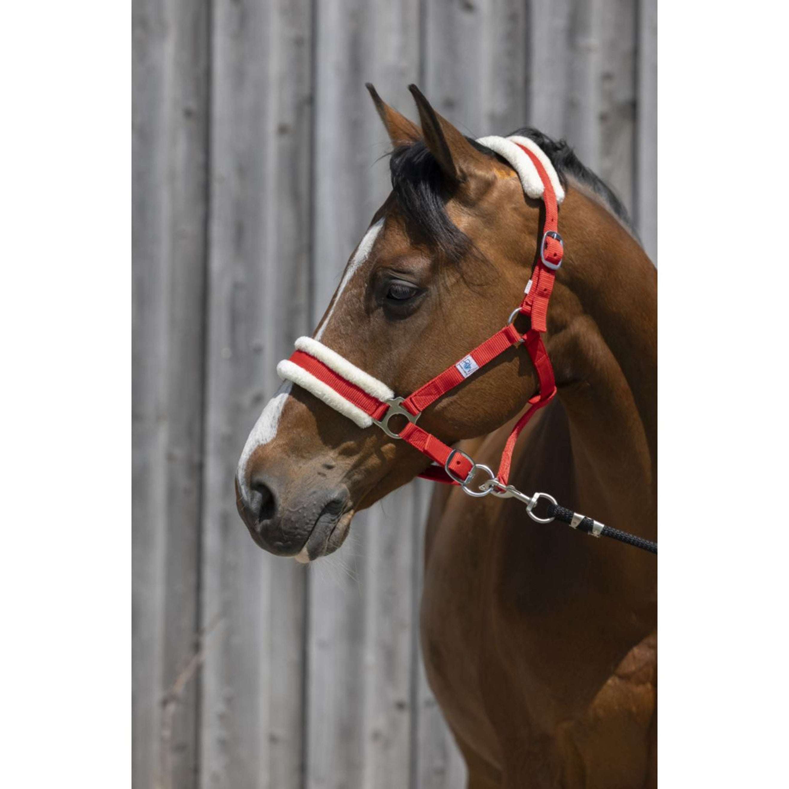 Riding World Halster Synthetic Fur Rood Riding World Halster Synthetic Fur Rood