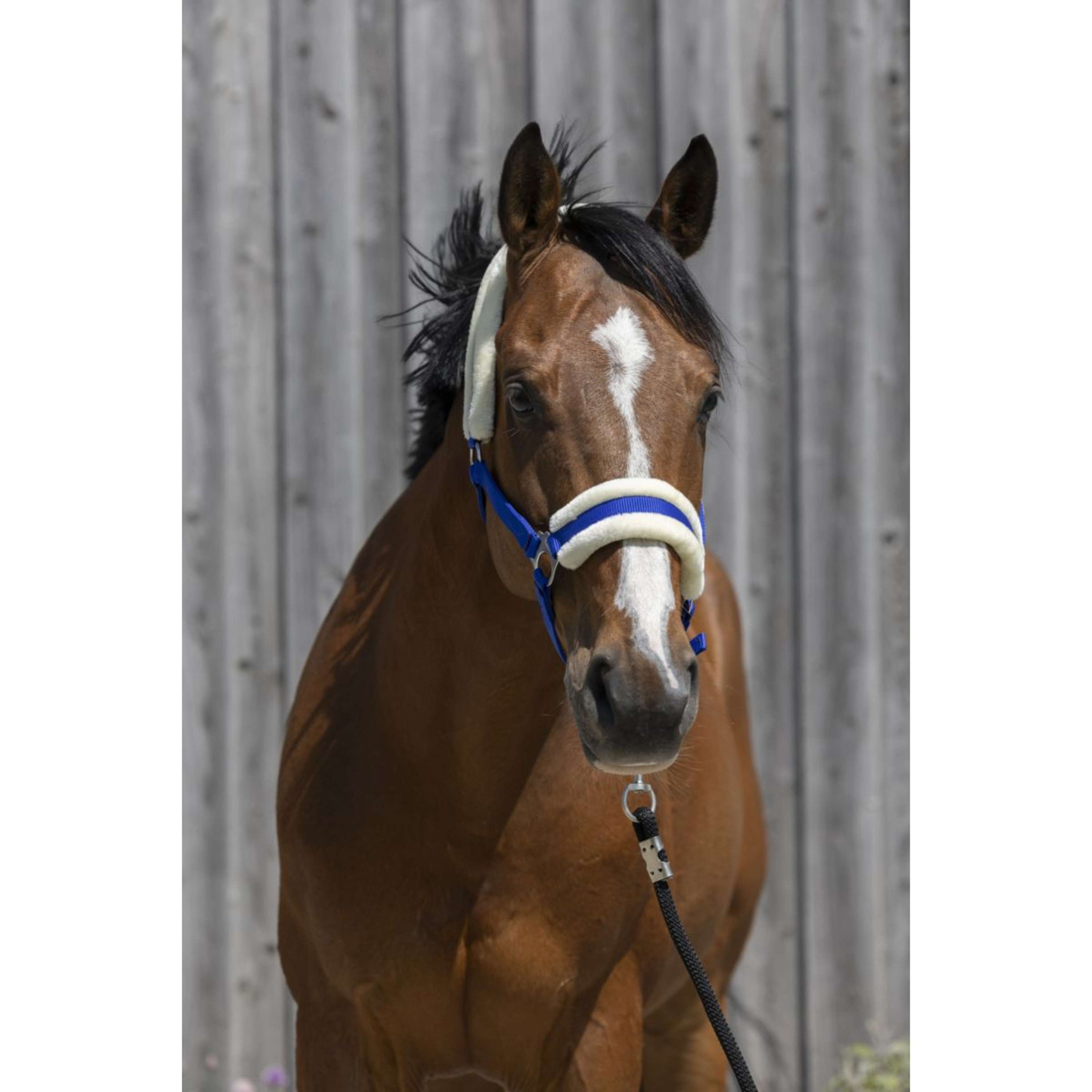 Riding World Halster Synthetic Fur Koningsblauw Riding World Halster Synthetic Fur Koningsblauw
