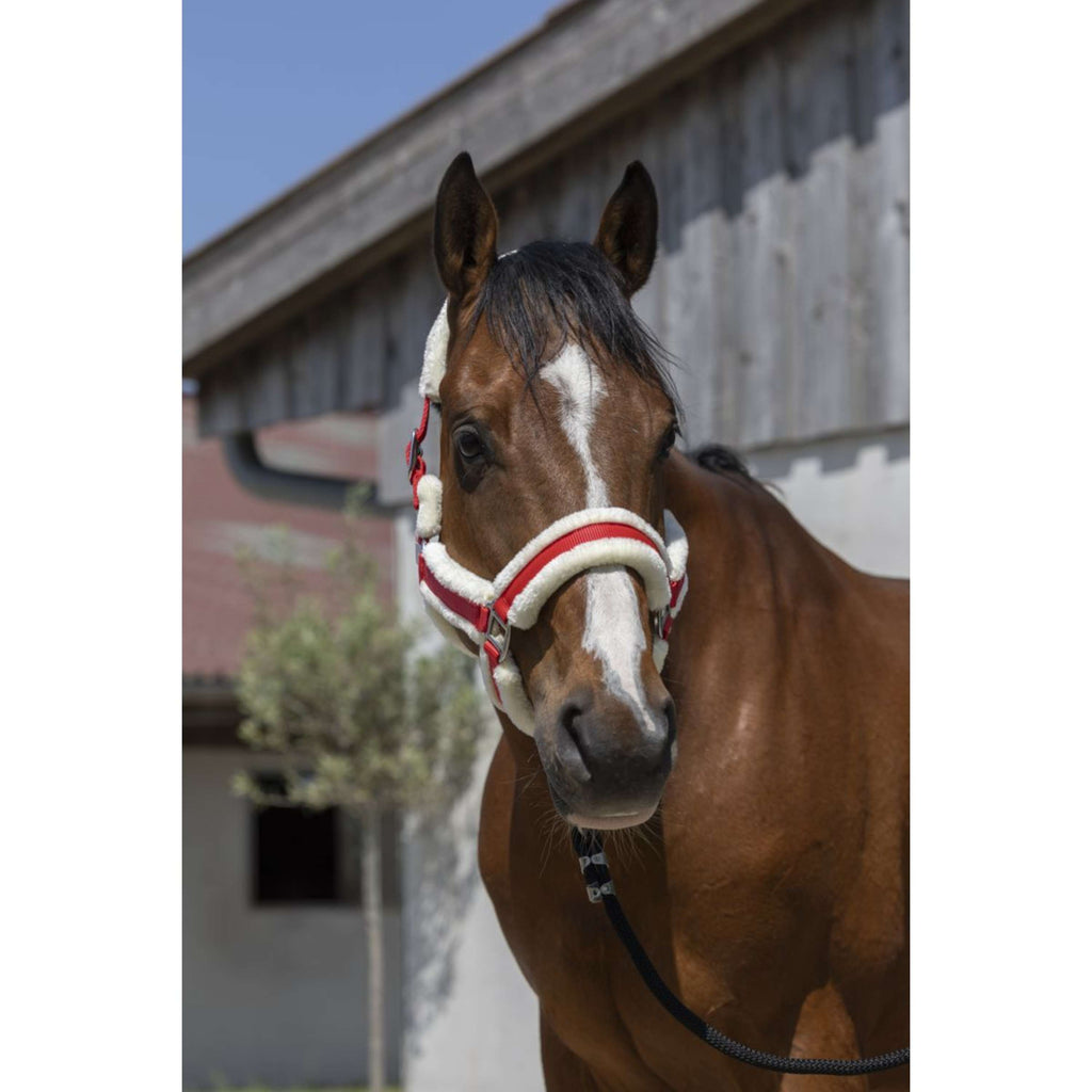 Norton Halster Cosy Rood