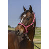 Norton Halster 4Lines Oud Roze