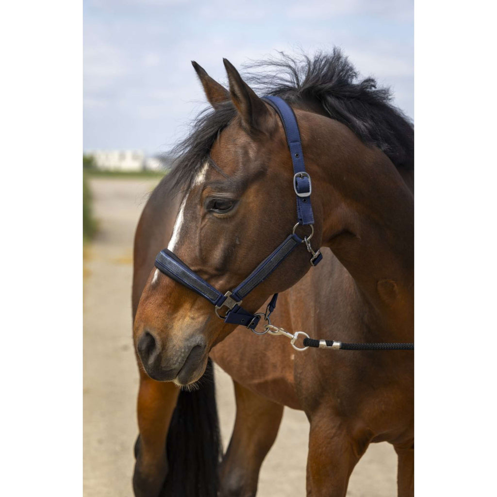 EQUITHÈME Halster Strass Nylon Navy