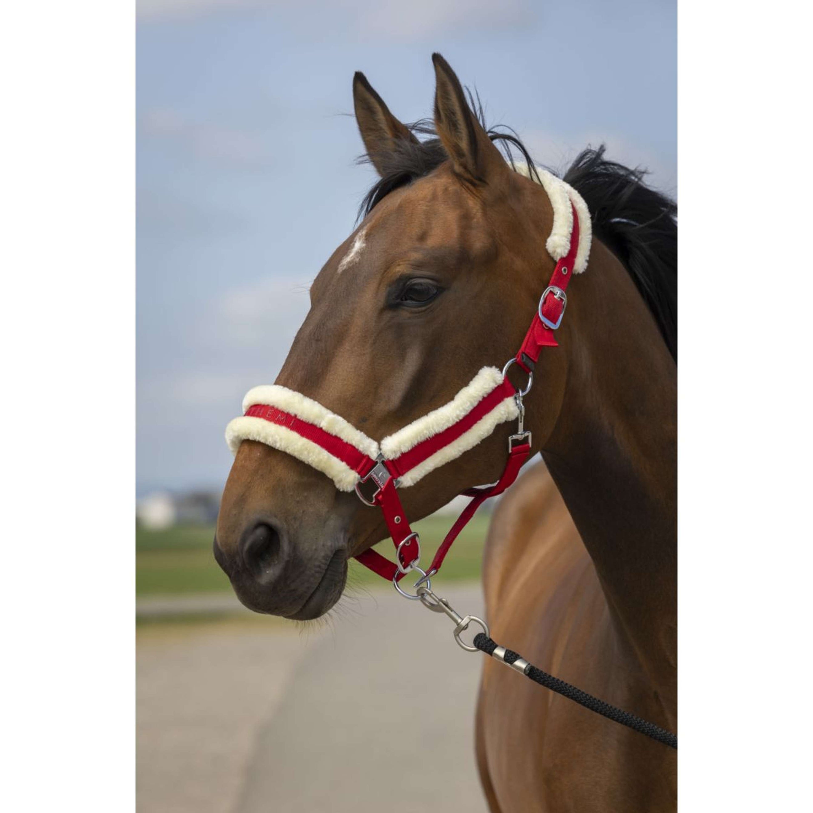 EQUITHÈME Halster Mouton Nylon Rood/Wit EQUITHÈME Halster Mouton Nylon Rood/Wit