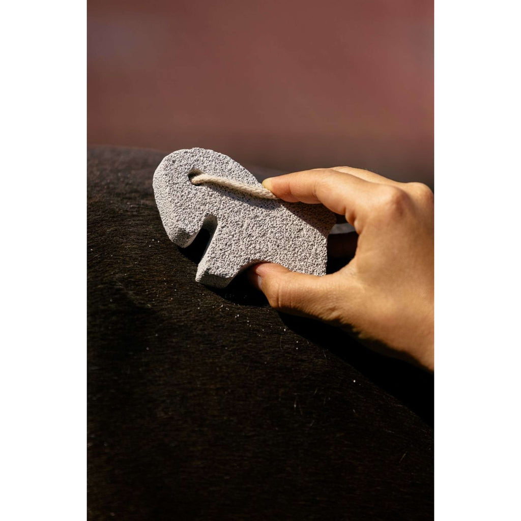 Hippotonic Puinsteen Horse Wit