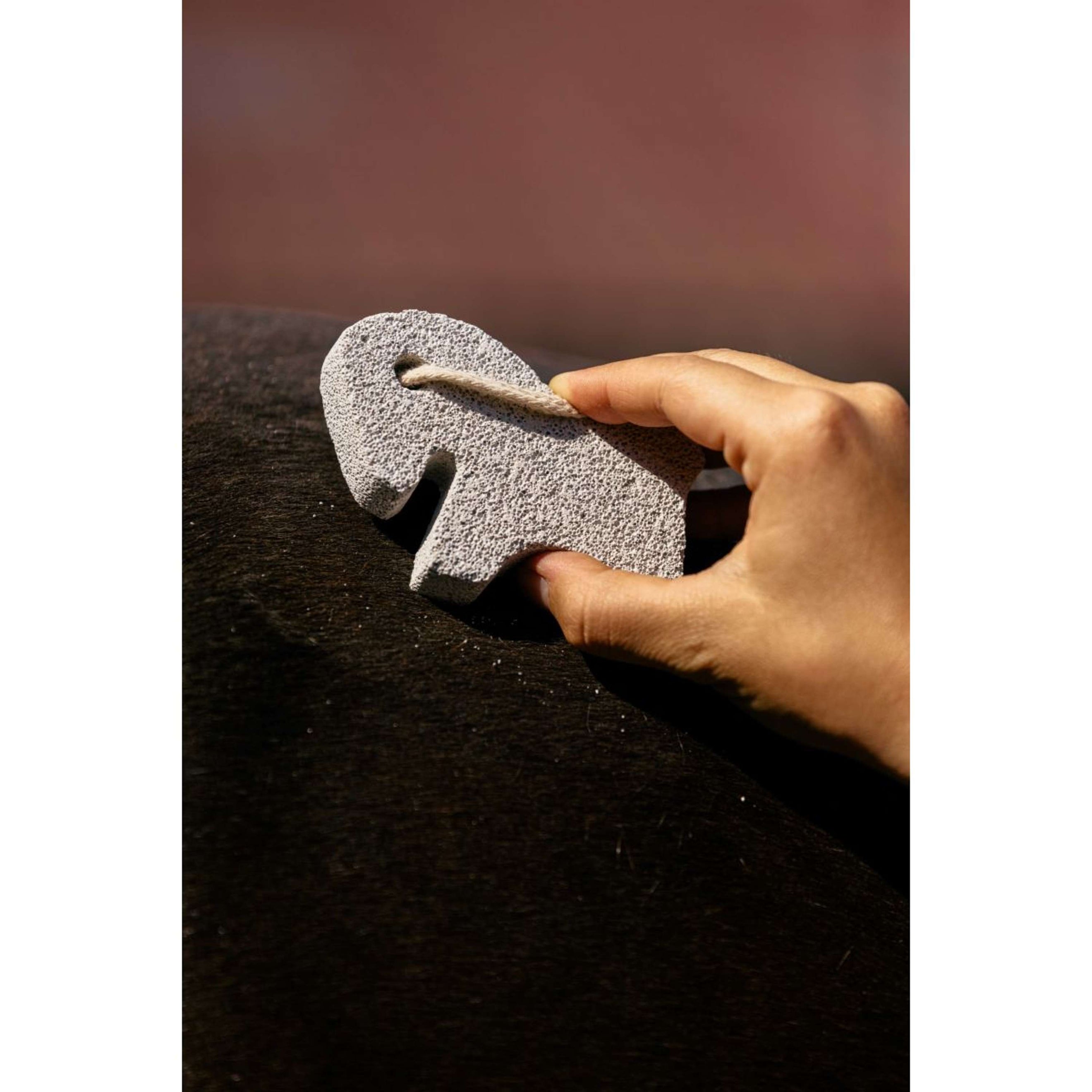 Hippotonic Puinsteen Horse Wit