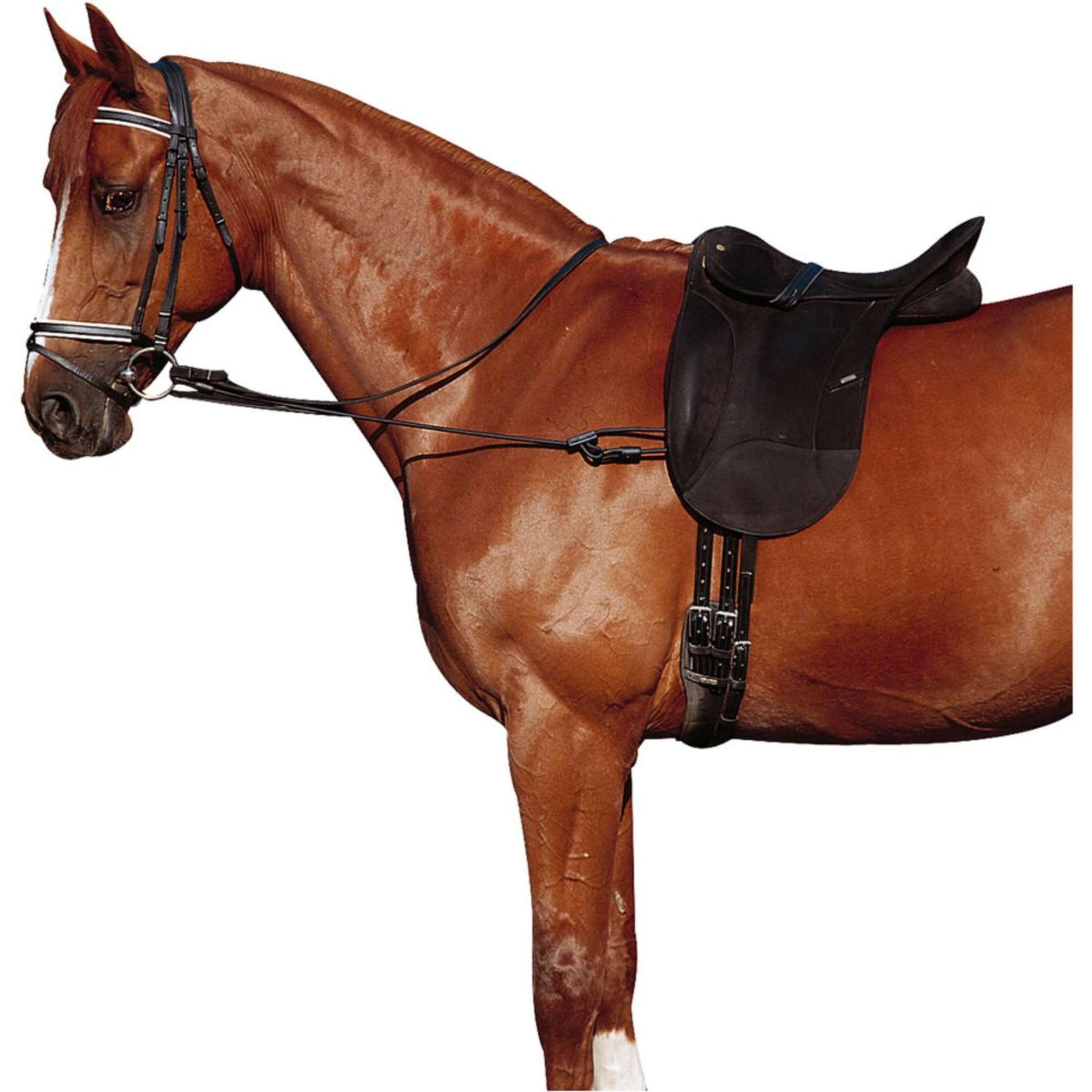 Norton Bijzetteugel Verstelbaar Elastisch Zwart Norton Bijzetteugel Verstelbaar Elastisch Zwart