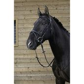 Riding World Hoofdstel met Gecombineerde Neusriem Zwart