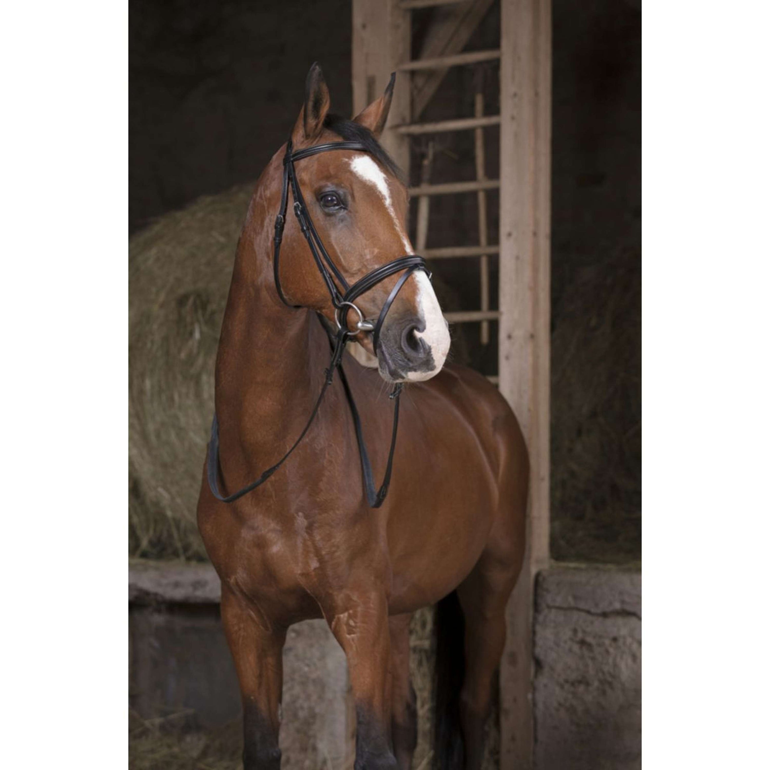 Norton Teugels Pro Rubber 13mm Zwart/Wit Norton Teugels Pro Rubber 13mm Zwart/Wit