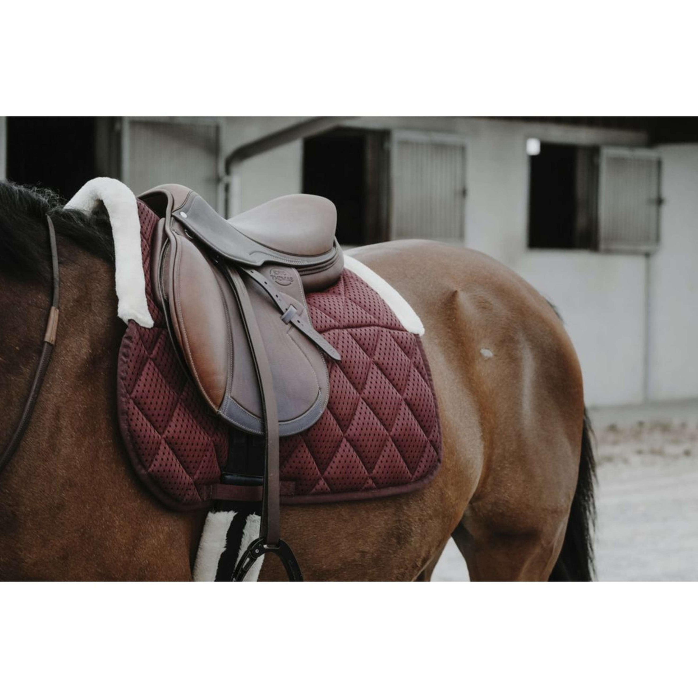 EQUITHÈME Zadeldekje Pro Air Veelzijdig Burgundy EQUITHÈME Zadeldekje Pro Air Veelzijdig Burgundy