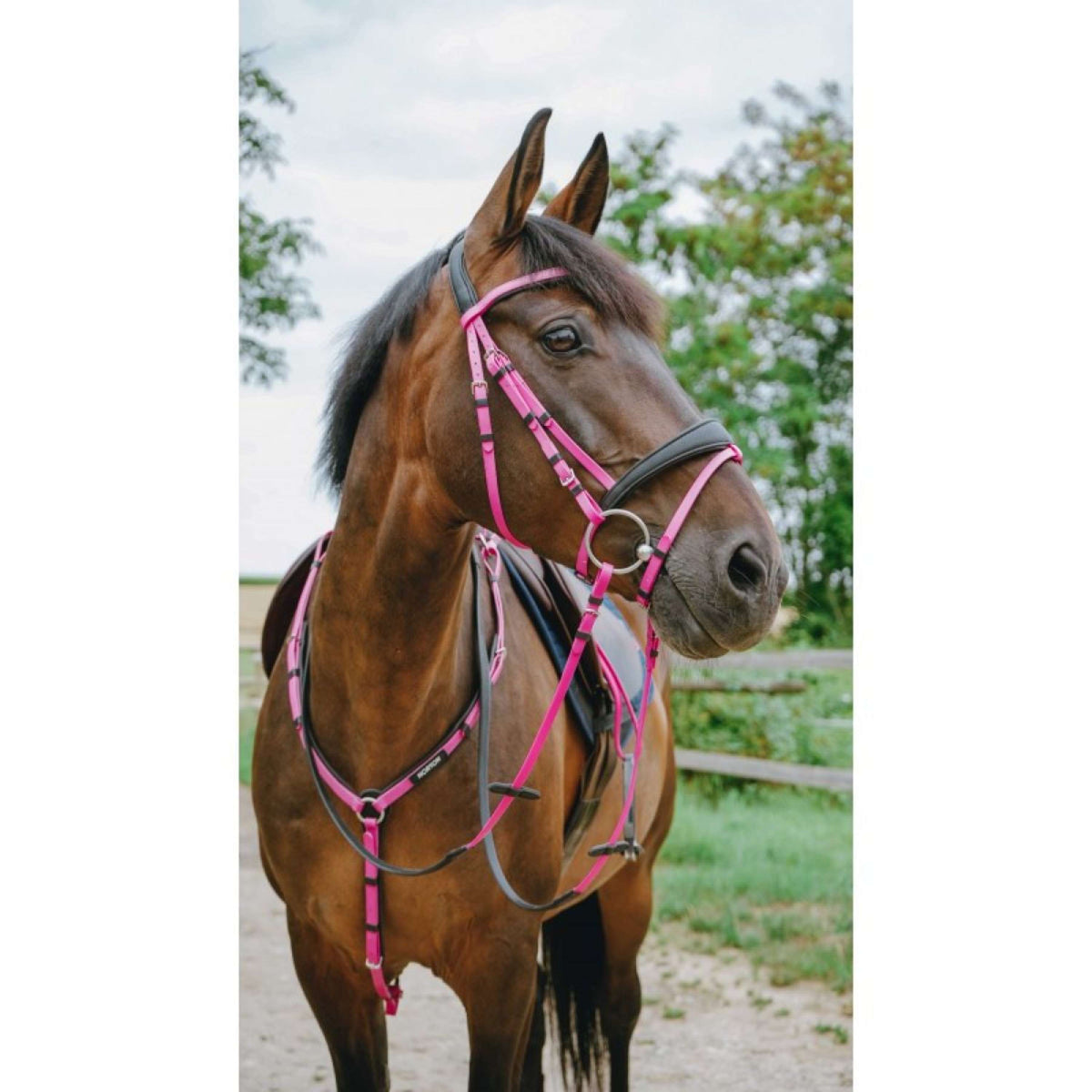 Norton Hoofdstel Endurance Roze