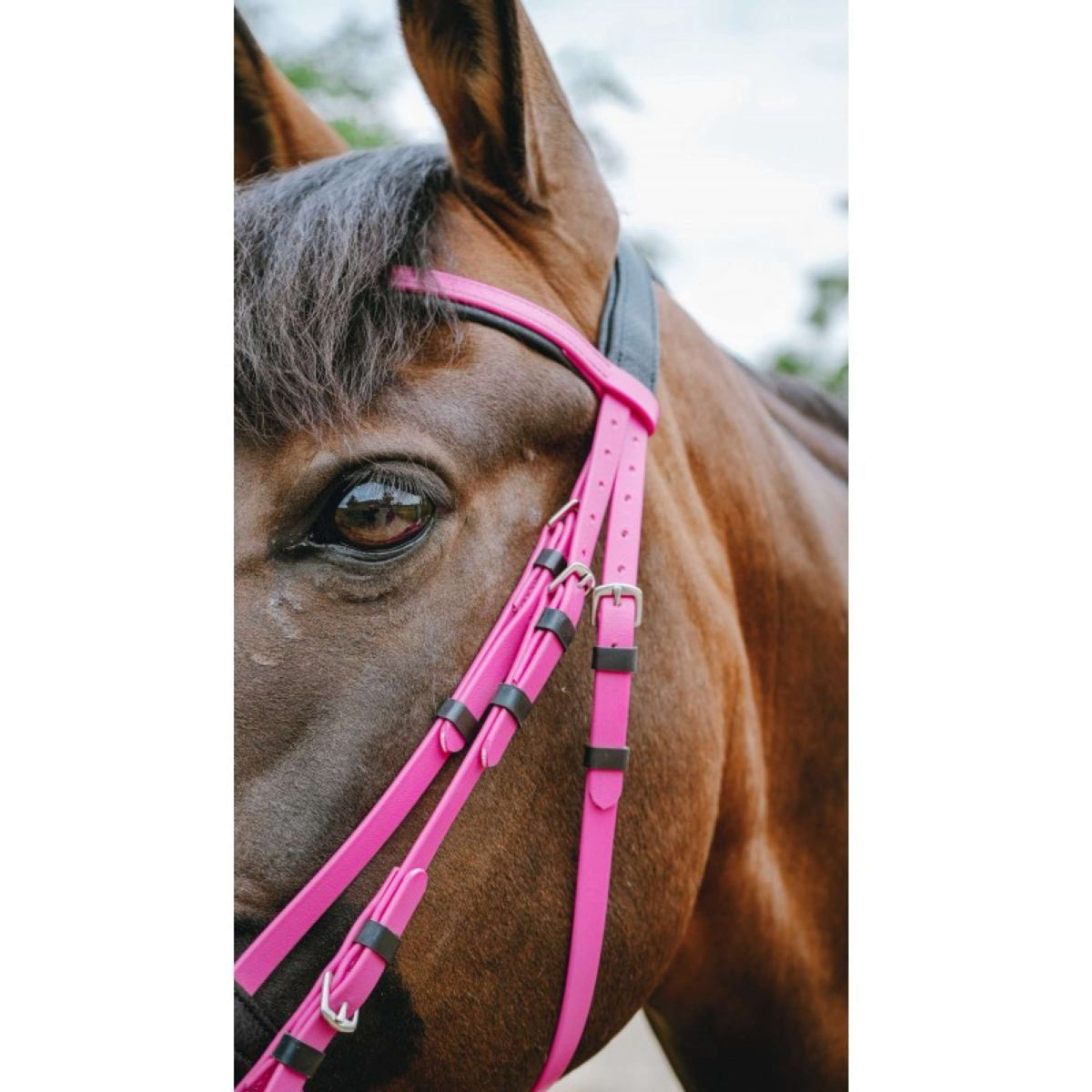 Norton Hoofdstel Endurance Roze