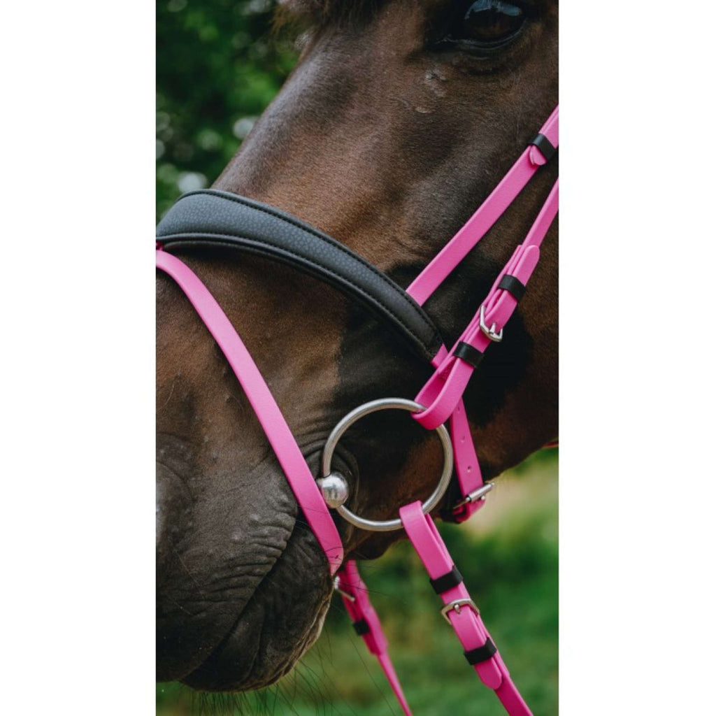 Norton Hoofdstel Endurance Roze