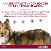 Advantix 600/3000 Spot On Hond